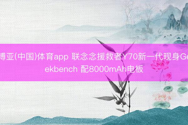 博亚(中国)体育app 联念念援救者Y70新一代现身Geekbench 配8000mAh电板