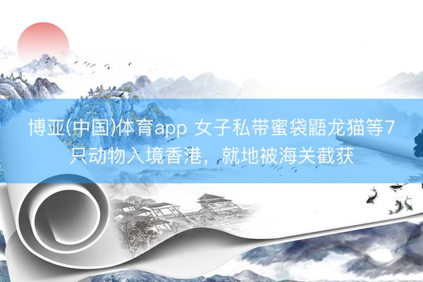 博亚(中国)体育app 女子私带蜜袋鼯龙猫等7只动物入境香港,就地被海关截获