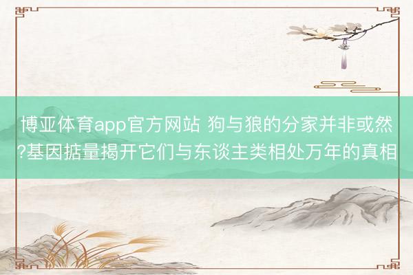 博亚体育app官方网站 狗与狼的分家并非或然?基因掂量揭开它们与东谈主类相处万年的真相
