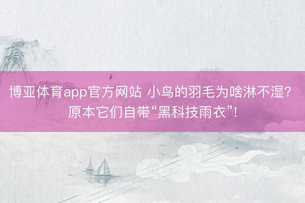 博亚体育app官方网站 小鸟的羽毛为啥淋不湿? 原本它们自带“黑科技雨衣”!