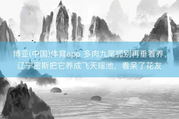博亚(中国)体育app 多肉九尾狐别再垂着养，辽宁密斯把它养成飞天瑶池，看呆了花友