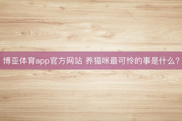博亚体育app官方网站 养猫咪最可怜的事是什么?