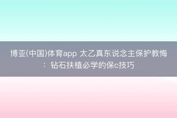 博亚(中国)体育app 太乙真东说念主保护教悔：钻石扶植必学的保c技巧