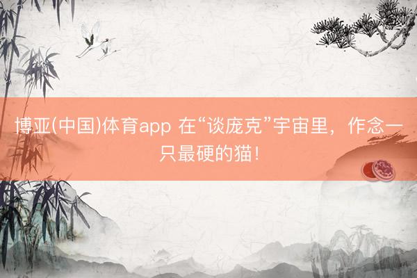 博亚(中国)体育app 在“谈庞克”宇宙里,作念一只最硬的猫!