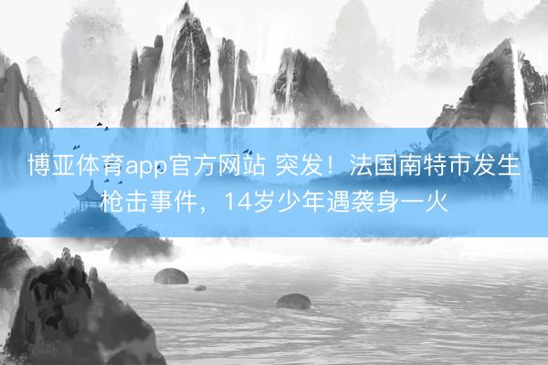博亚体育app官方网站 突发！法国南特市发生枪击事件，14岁少年遇袭身一火