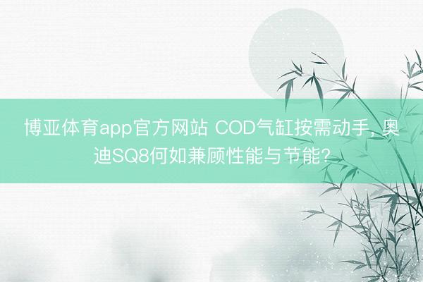 博亚体育app官方网站 COD气缸按需动手, 奥迪SQ8何如兼顾性能与节能?