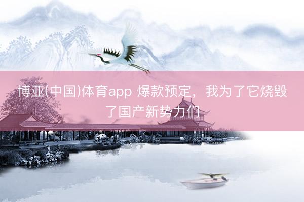 博亚(中国)体育app 爆款预定，我为了它烧毁了国产新势力们