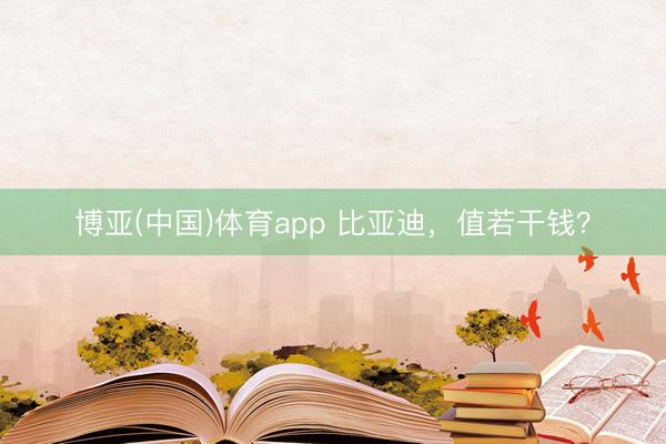 博亚(中国)体育app 比亚迪，值若干钱？