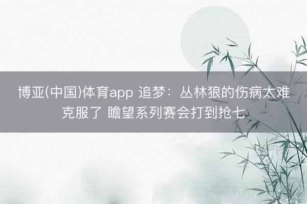 博亚(中国)体育app 追梦:丛林狼的伤病太难克服了 瞻望系列赛会打到抢七