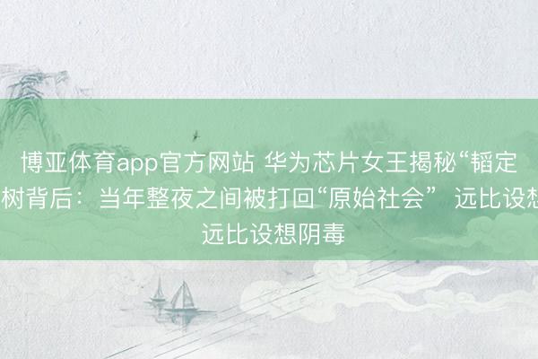 博亚体育app官方网站 华为芯片女王揭秘“韬定律”建树背后：当年整夜之间被打回“原始社会”  远比设想阴毒