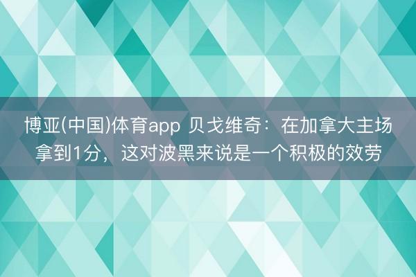 博亚(中国)体育app 贝戈维奇:在加拿大主场拿到1分,这对波黑来说是一个积极的效劳